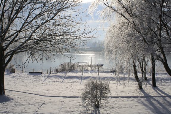 Winterlandschaft mit gefrorenem See, schneebedeckten Bäumen und sonnigem Himmel.