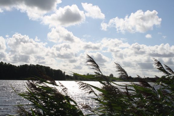 Ein ruhiger See mit Wolken und Gräsern im Vordergrund.
