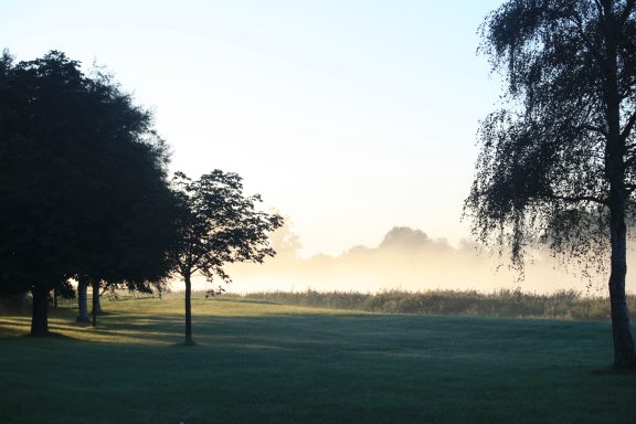 Morgendämmerung und Nebel über der Treene mit Silhouetten von Bäumen unserer Parkanlage.