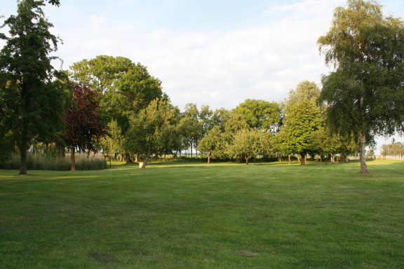 Grüner Park mit Bäumen und Wiese unter einem leicht bewölkten Himmel.