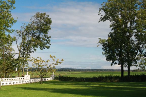 Grünes Feld mit einzelnen Bäumen und einem Aussichtshorizont unter blauem Himmel.